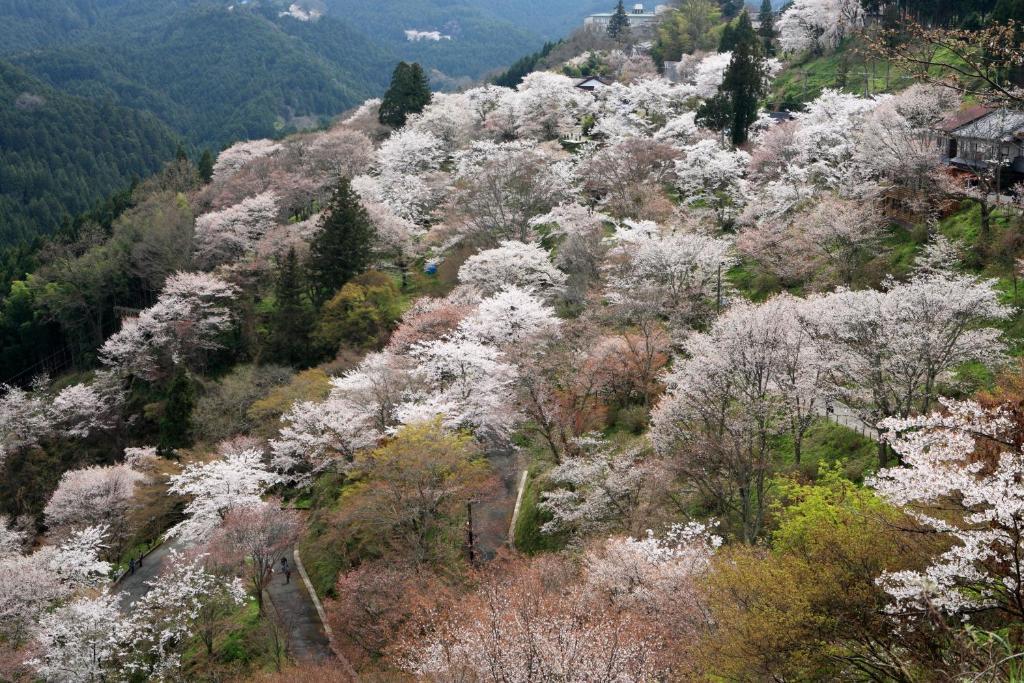 Ryokan Kato โยชิโนะ ภายนอก รูปภาพ