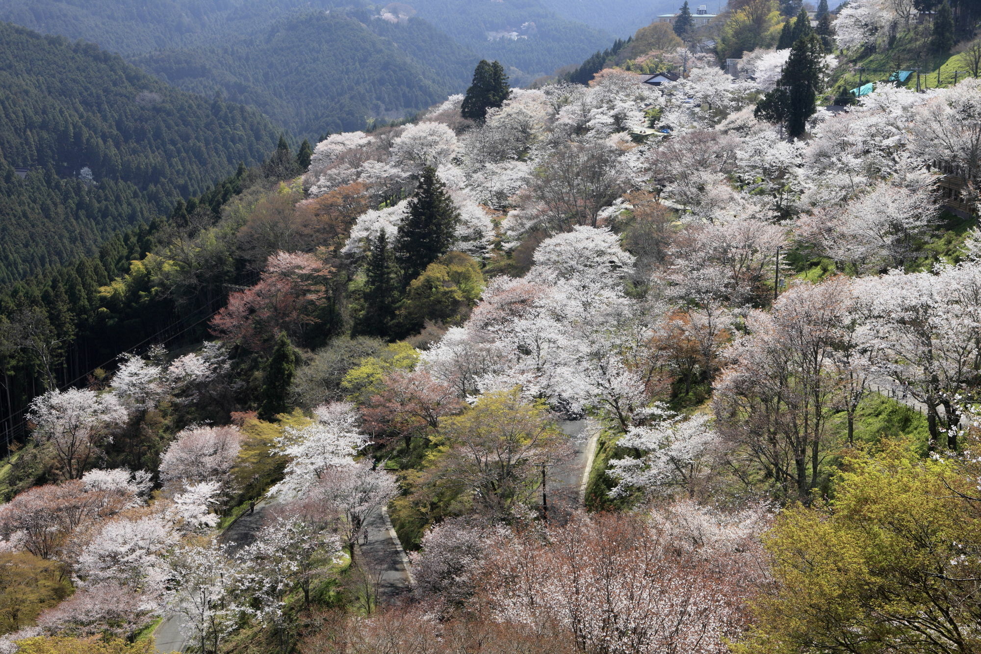 Ryokan Kato โยชิโนะ ภายนอก รูปภาพ